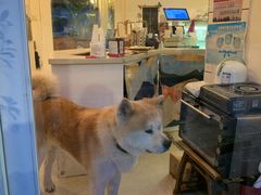 -餐酒吧Com-ing Bar(上海路店)