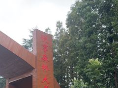 -日照海滨国家森林公园