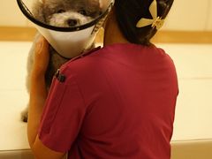 -美联众合动物医院·24h转诊中心