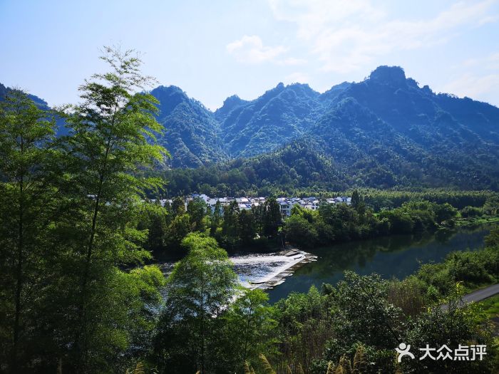 自由家树屋世界-图片-休宁县酒店-大众点评网