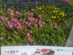 -云溪植物园