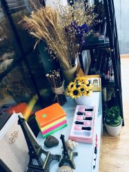 -甲舍美甲美睫艺术馆