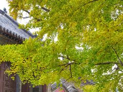 -浮来山风景区