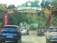 -海南热带野生动植物园
