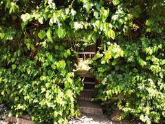 -斯多格书乡(北京大学畅春园店)