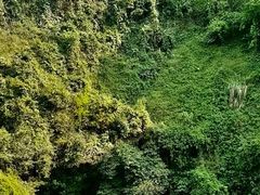 -海口火山口国家地质公园
