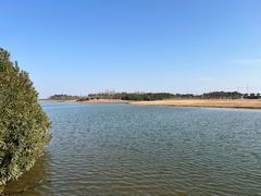 -春花秋色城市公园