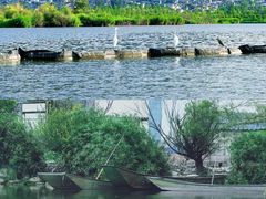 -大理洱源西湖景区