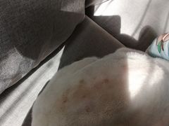 -沐沐家宠物(成寿寺店)