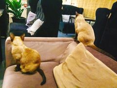 -吱咖啡西式简餐