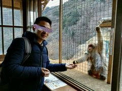 -岚山猴子公园