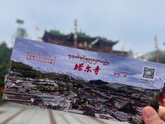 -塔尔寺游客服务中心