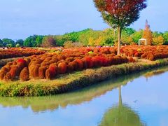 -花开海上生态园