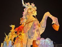 -淄博花灯齐彩城