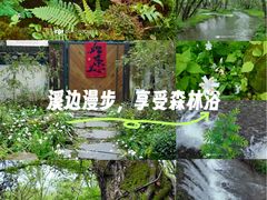 -西溪南古村落