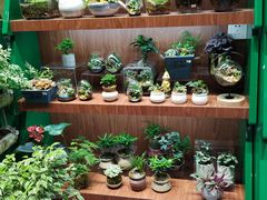 -扶光书店(中环店)