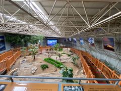 -中国第四纪冰川遗迹陈列馆