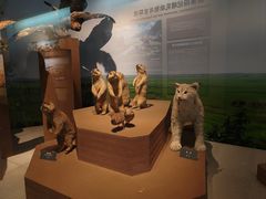 -大庆市博物馆