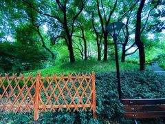 -徐家汇源景区-衡山公园