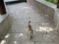 -敬亭山风景名胜区