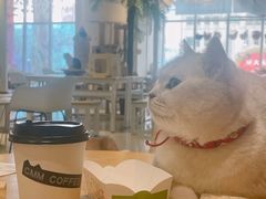 -藏猫猫咖啡主题馆(中央大道店)