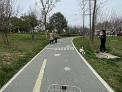 -洨河生态公园