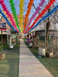 -萌宠亲子动物乐园(槐房万达店)