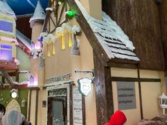 -世界之窗阿尔卑斯冰雪世界