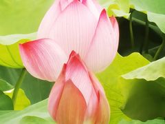 -丝绸小镇荻港古村