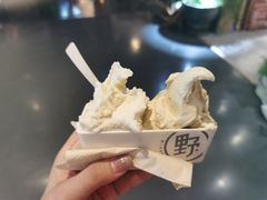 -野人牧坊Gelato(天津南开大悦城店)