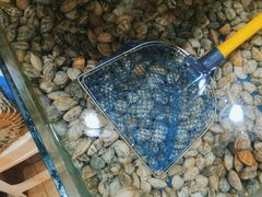 -鑫渔港海鲜本地菜·山海关浑锅(东戴河店)