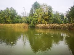-厦门国家会计学院