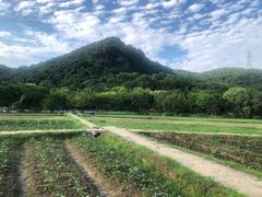 -八卦田遗址公园