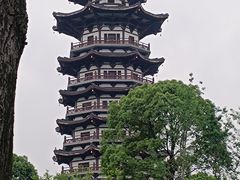 -洋湖国家湿地公园