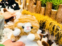 -酷乐潮玩(五道口购物中心店)