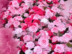 -深圳龙华星河COCO City(民治店)