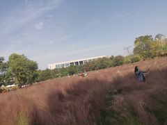 -艾溪湖湿地公园