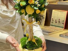 -植物学家的女儿(北马道巷店)