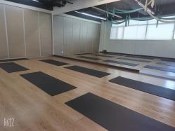 -兰瑜伽·普拉提