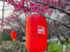 -杏花村文化旅游区