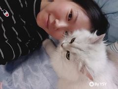 -猫大福·Fortune Cat猫舍(百子湾店)