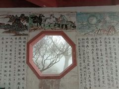 -紫霞湖公园