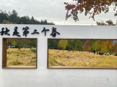 -塔川景区