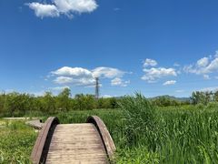 -永定河休闲森林公园