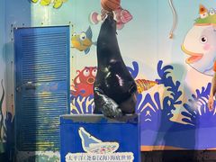 -太平洋海底世界