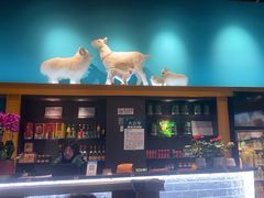 -大白羊蝎子馆(后沙峪山姆店)