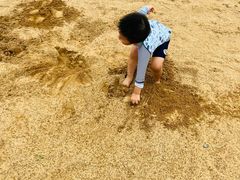 -碧海金沙
