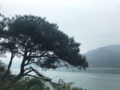 -羚羊峡古栈道森林公园