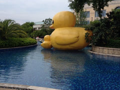 -绿城千岛湖喜来登度假酒店
