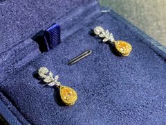 -志龙皇冠吃货椰子铺